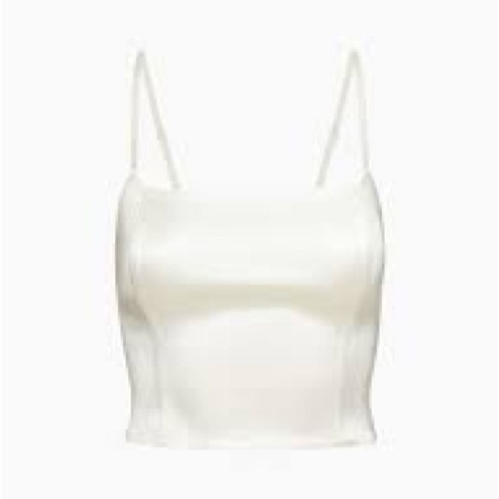 Aritzia Satin Bustier Lovefest